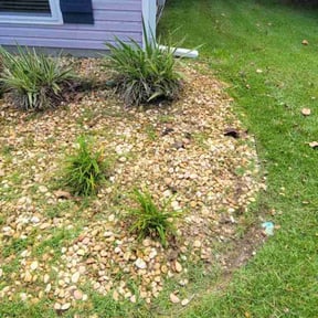 Flower Bed Weeding by Philipp's Property Maintenance LLC reviewed on April 8, 2025