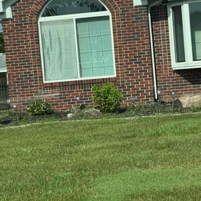 Bush Trimming by Moe better lawn service reviewed on May 29, 2022