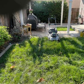 Bush Trimming by Forever Green FG LLC reviewed on April 11, 2025