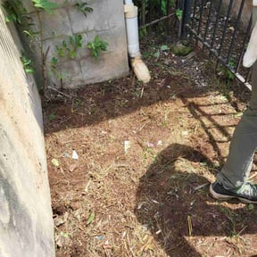 Flower Bed Weeding by Golden Acres Lawn Care reviewed on June 27, 2022