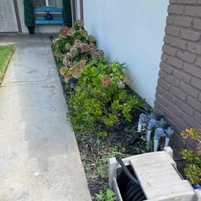 Bush Trimming by River City Lawn Service reviewed on October 13, 2022