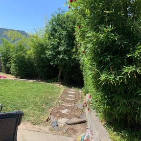 Bush Trimming by Mikes Landscaping reviewed on April 7, 2023