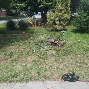Bush Trimming by Right On Time services reviewed on May 27, 2022