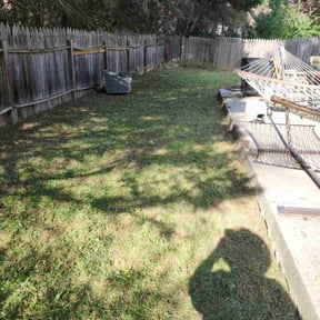 Leaf Removal by Ategramax reviewed on July 20, 2022