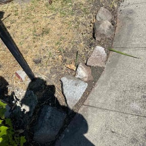 Landscaping by Garnett Lawn and landscaping reviewed on June 10, 2022