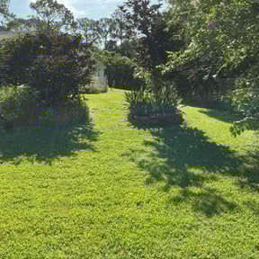 Flower Bed Weeding by LSLTDallas/FortWorthTruGreen reviewed on July 31, 2025