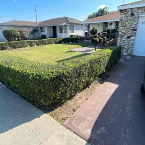 Bush Trimming by Complete Lawn Care reviewed on July 23, 2022