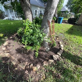 Flower Bed Weeding by Mr. Larrys Yard Maintenance LLC reviewed on November 11, 2021