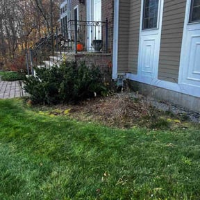 Leaf Removal by Brian Fritts reviewed on June 11, 2022
