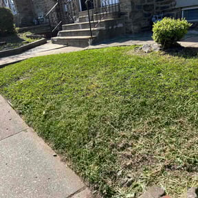 Cleanups by Ona Lawn Care reviewed on August 2, 2021
