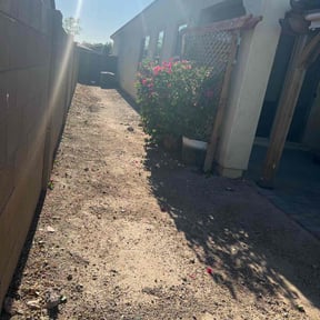 Bush Trimming by Da Munchez/ High 5 landscaping reviewed on July 25, 2022