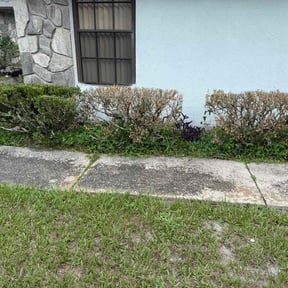 Bush Trimming by GreenLand Landscaping LLC reviewed on August 24, 2021