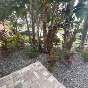 Leaf Removal by Johnson Family Lawn Service reviewed on June 5, 2025