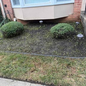 Weeding by :) B.and.B :) reviewed on August 22, 2024