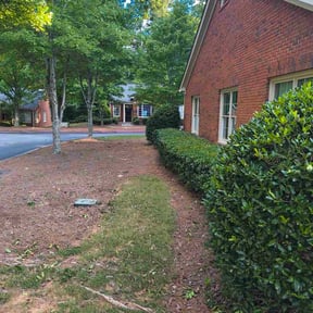 Bush Trimming by Sarmientos Landscaping reviewed on November 24, 2023