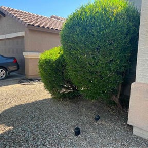 Bush Trimming by C J 's. Lawn Care reviewed on July 18, 2025