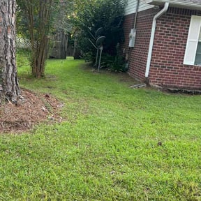 Bush Trimming by Lawn and Beyond reviewed on June 3, 2022