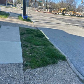 Leaf Removal by MARS reviewed on May 12, 2025