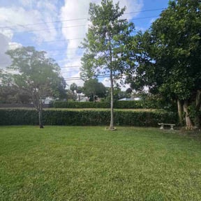 Bush Trimming by 4EverGreen Landscaping reviewed on May 19, 2022