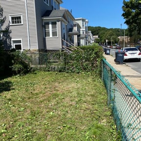 Bush Trimming by Family Claros landscaping services reviewed on June 6, 2022
