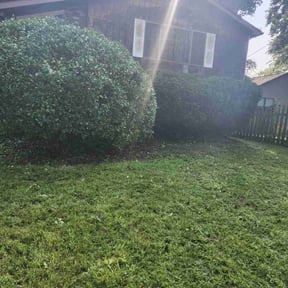 Bush Trimming by Loza Green & Handy reviewed on April 28, 2022