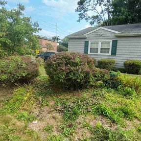 Flower Bed Weeding by Triple S Cuts & Cleanouts reviewed on April 14, 2022