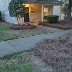 Cleanups by Jeff's Lawn service reviewed on June 14, 2022