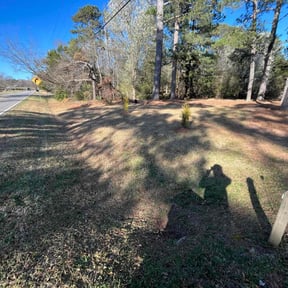 Cleanups by Green Ranch Lawncare and Pressure Washing reviewed on May 17, 2022