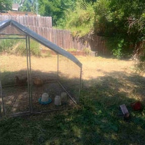 Cleanups by Chris’s Lawn Service reviewed on August 6, 2022