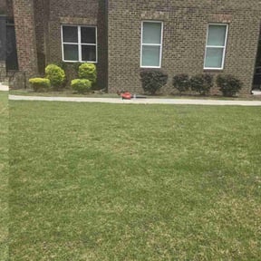 Bush Trimming by Willie's Mobile Lawn Services reviewed on June 21, 2022