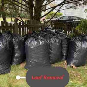 Leaf Removal by C&R Ventures reviewed on June 5, 2022