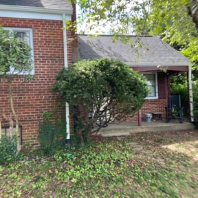 Bush Trimming by The guy property maintenance reviewed on April 13, 2022