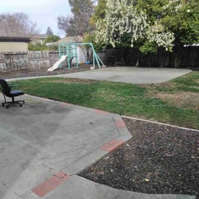 Leaf Removal by TARLY & SONS LAWNCARE reviewed on June 25, 2022