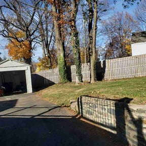 Cleanups by Patricks lawn service reviewed on July 18, 2022
