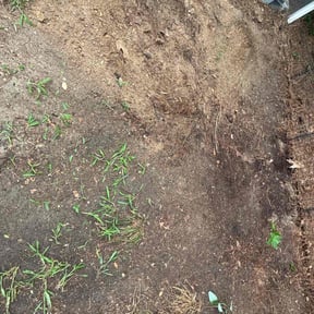 Cleanups by Green Acres Landscaping and Construction LLC reviewed on April 18, 2025
