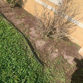 Flower Bed Weeding by Ariel and daddy lawn care reviewed on July 26, 2022