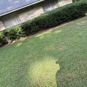 Bush Trimming by Reliable Cuts Lawn service LLC reviewed on June 29, 2022