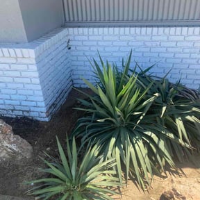 Cleanups by Green Craft Gardening reviewed on June 27, 2022