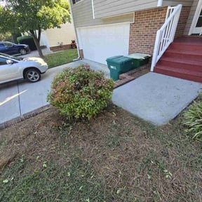 Bush Trimming by Electric Cut Lawn Care LLC reviewed on February 3, 2025