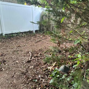 Leaf Removal by NKY Curb Appeal, Inc. reviewed on July 21, 2022