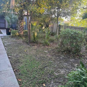 Bush Trimming by Rmp residential services reviewed on July 22, 2022