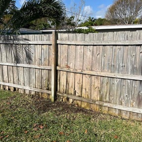 Cleanups by Enrique's Outdoor Maintenance reviewed on October 23, 2022