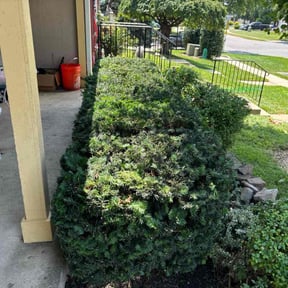 Flower Bed Weeding by Magik Compass LLC reviewed on October 20, 2021