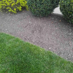 Flower Bed Weeding by Mcqueens lawn care reviewed on July 25, 2022