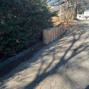 Leaf Removal by Clarkson lawn care reviewed on July 6, 2022