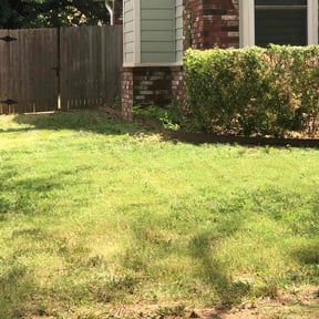 Bush Trimming by Skyler’s Lawn Care reviewed on June 29, 2025