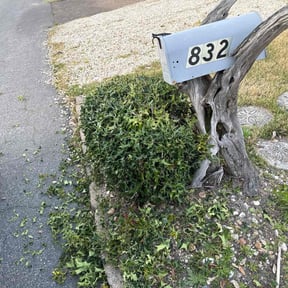 Bush Trimming by LELC, LLC reviewed on June 7, 2025