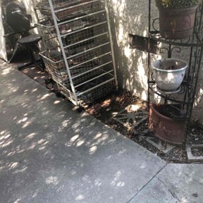 Leaf Removal by Olivares Gardening reviewed on August 14, 2025