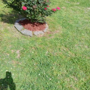 Landscaping by Above And Beyond Lawn Care reviewed on October 18, 2021