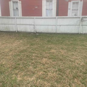 Leaf Removal by Mann Services reviewed on April 24, 2022